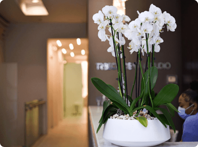 Tribeca Dental Studio Smile Architecture